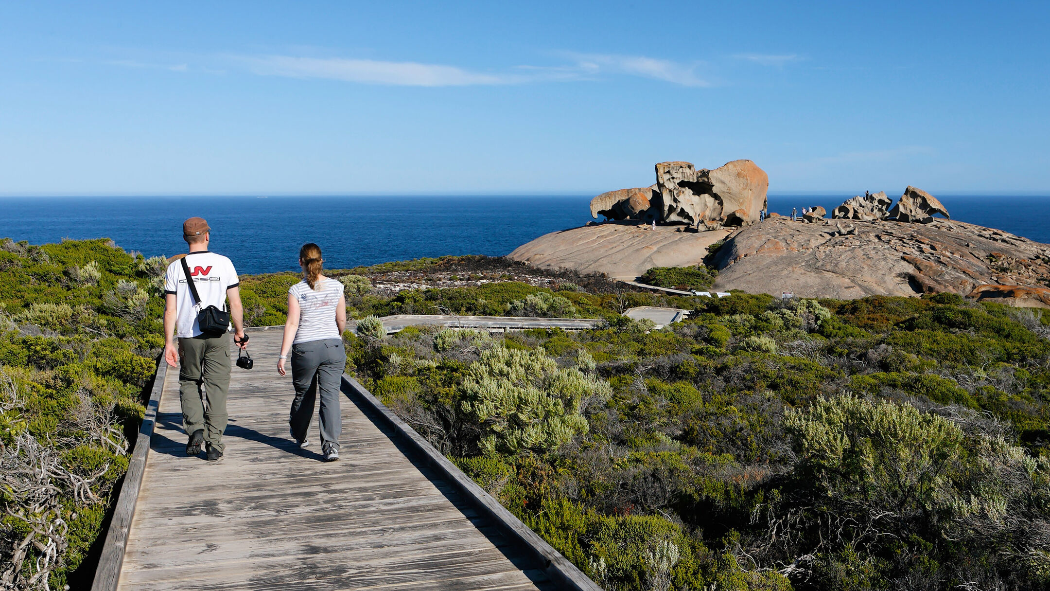 kangaroo island day tour from cape jervis