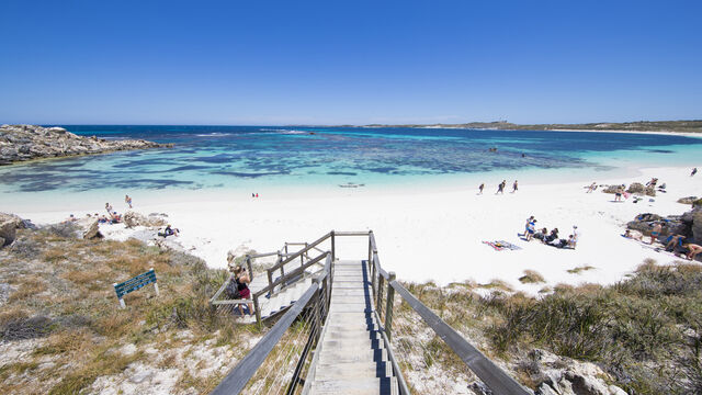8:30am - Rottnest Island - Same day return ferry departing from Perth