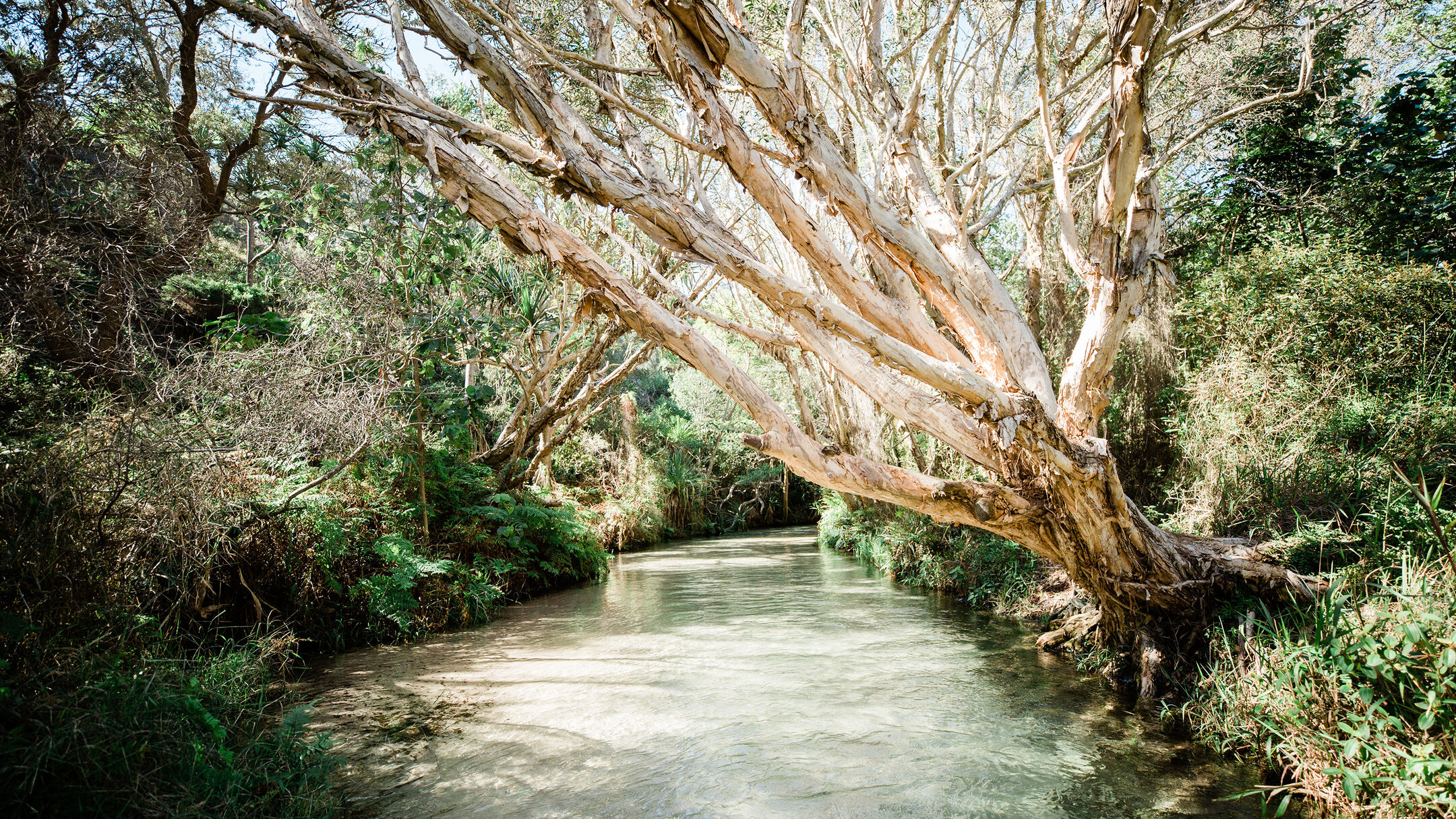 K'gari Explorer Day Tour (ex Hervey Bay)