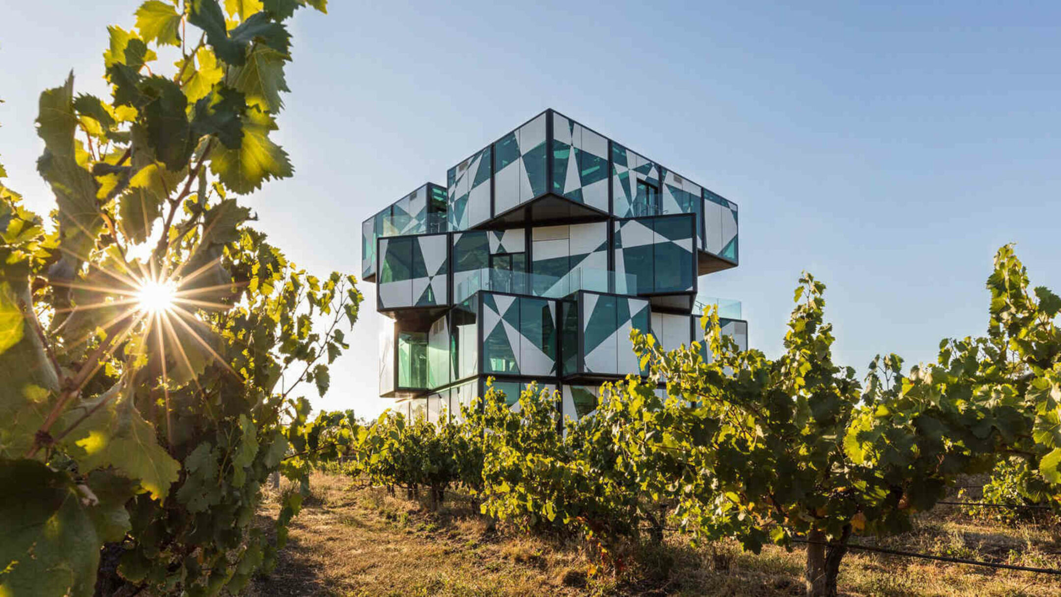 Adelaide and McLaren Vale Experience