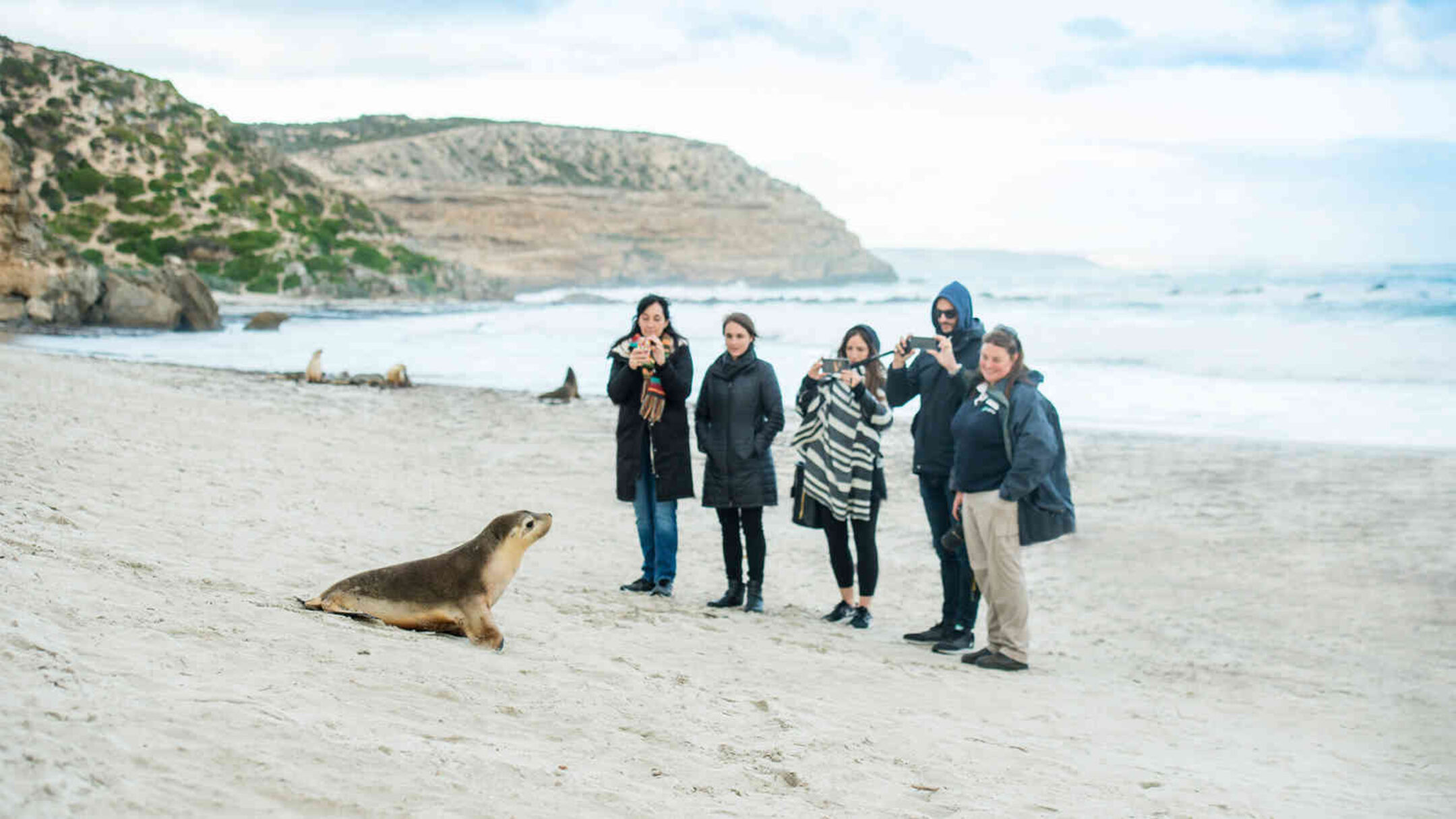Adelaide and Kangaroo Island Escape