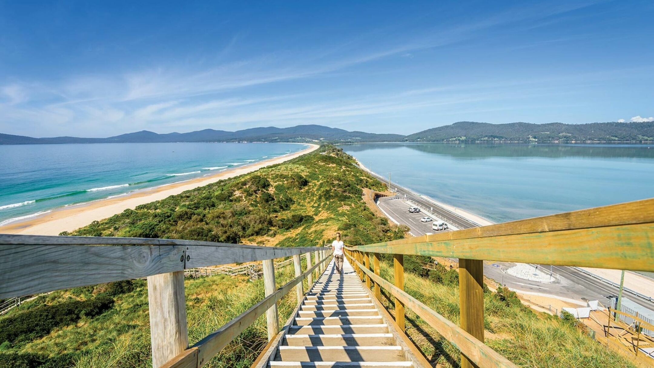 Hobart and Bruny Island Eco Experience