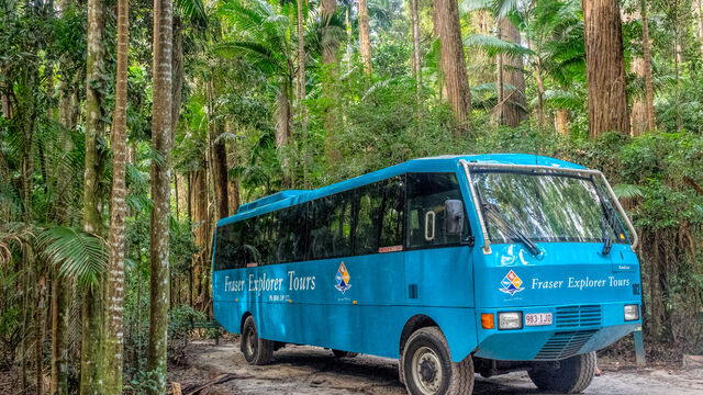 K'gari Explorer Day Tour (ex Rainbow Beach)