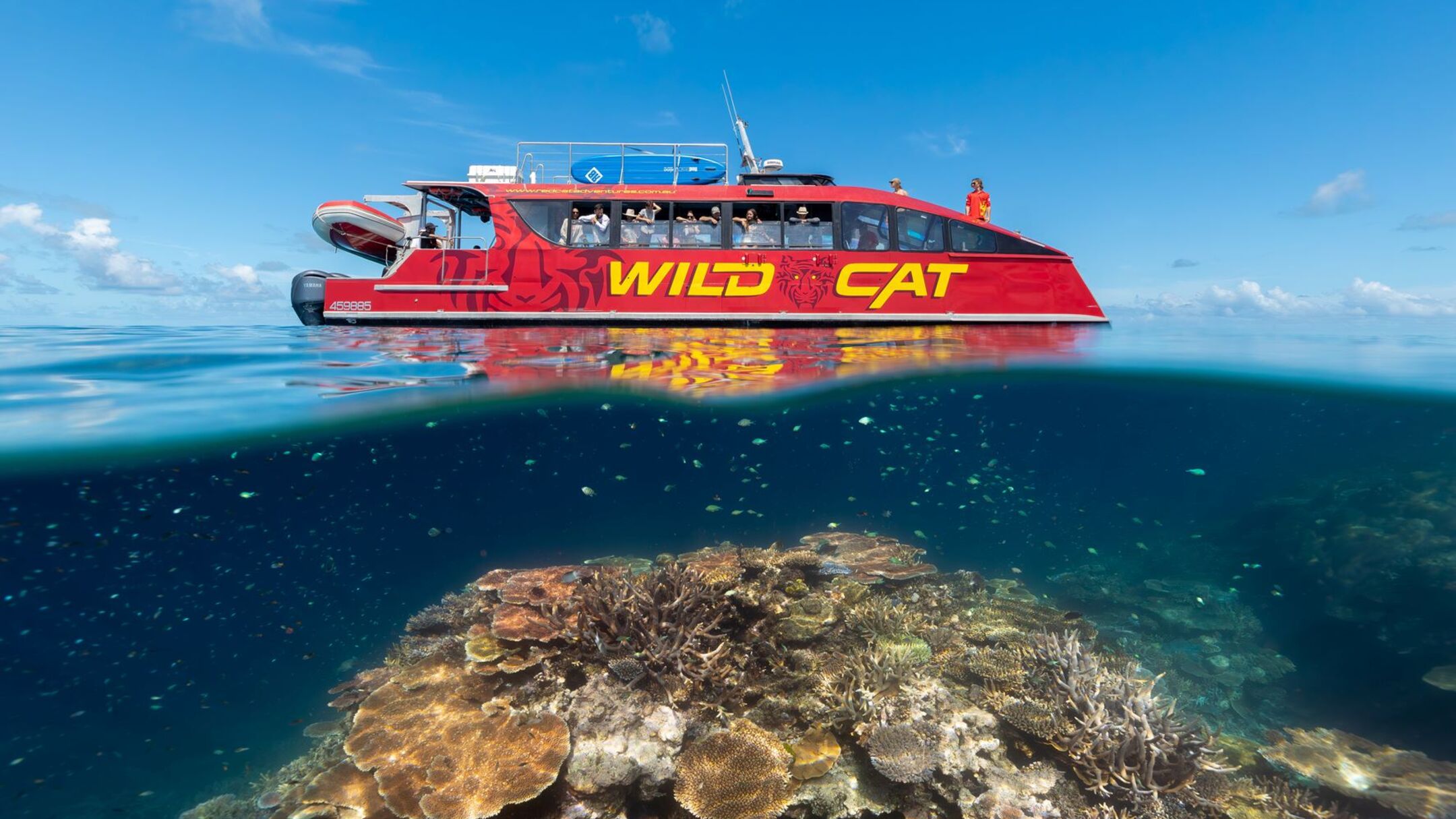 Outer Reef Snorkel Adventure