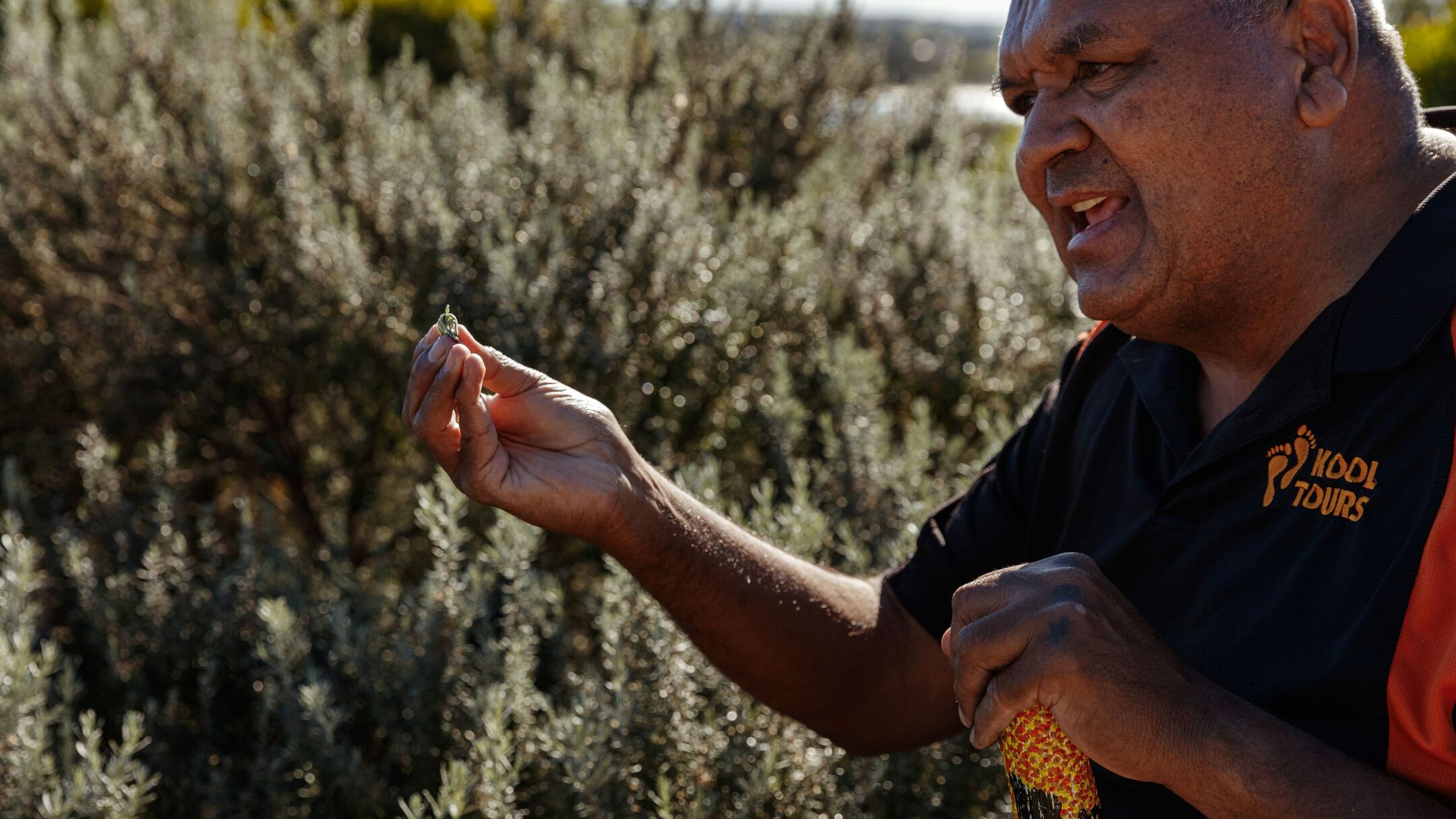 1 Day Kangaroo Island Indigenous Tour - Departs Adelaide