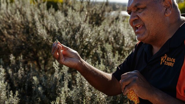 1 Day Kangaroo Island Indigenous Tour - Departs Adelaide